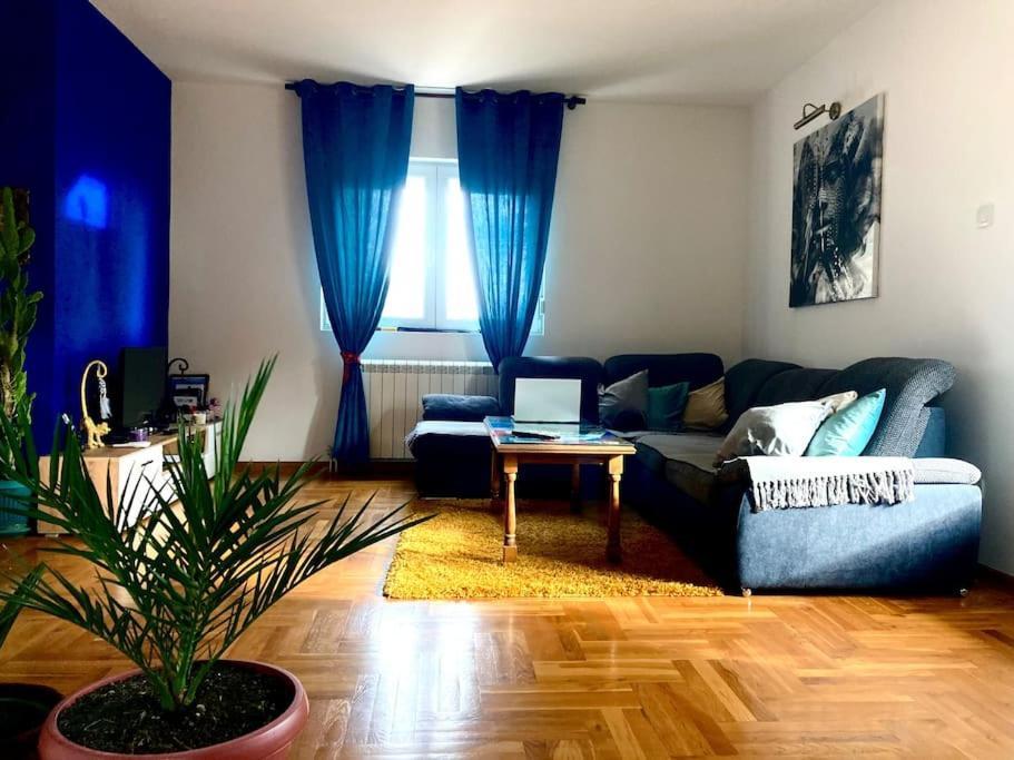 Apartament Amazing Memories Belgrad Zewnętrze zdjęcie