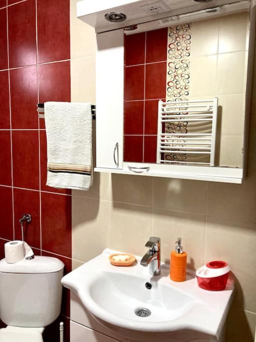 Apartament Amazing Memories Belgrad Zewnętrze zdjęcie