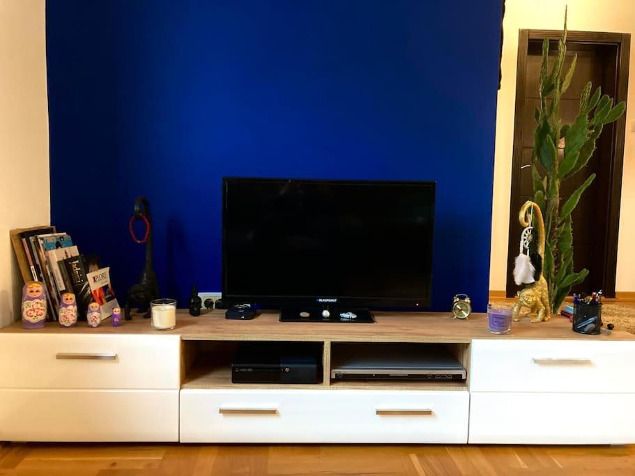 Apartament Amazing Memories Belgrad Zewnętrze zdjęcie