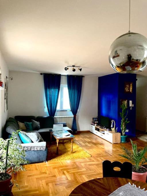 Apartament Amazing Memories Belgrad Zewnętrze zdjęcie